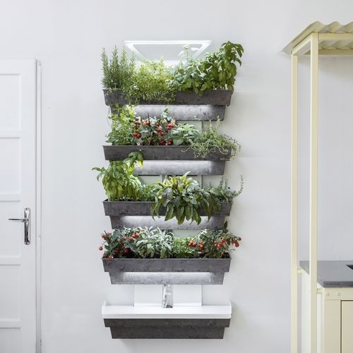 Вертикальный сад из живых растений - Hedera 4 - lightgreen srl - на заказ / цветы / для интерьера