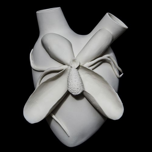 Современная ваза - PHALAENOPSIS - ELICA STUDIO - из фарфора / для стены / ручной работы