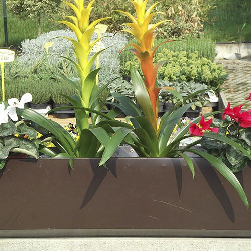 Кадка для садовых растений из пластика - BIO-FLOWERPOTS  - ecohousesystem - прямоугольная / круглая / устойчивая к УФ-лучам