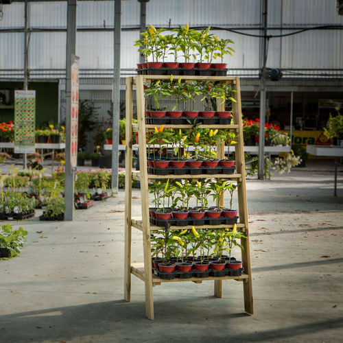 Выставочный стенд-витрина для растений - Five-Tier - Hortalia - из дерева / двусторонний / 5 уровней