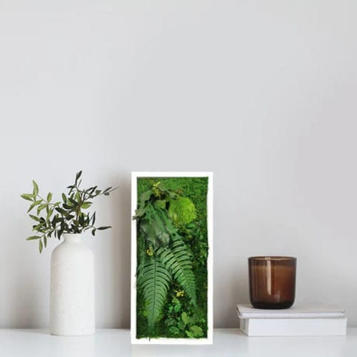 Стабилизированная живая изгородь - ELEGANCE 18X38 - naturall green - мох / листва / цветы