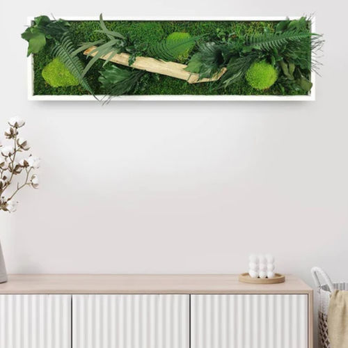 Стабилизированная живая изгородь - 20x70 - naturall green - натуральная / листва / для интерьера
