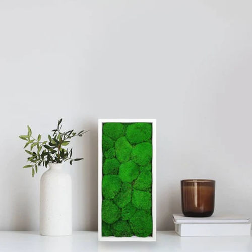 Стабилизированная живая изгородь - STABILIZED 18X38 - naturall green - натуральная / мох / для интерьера