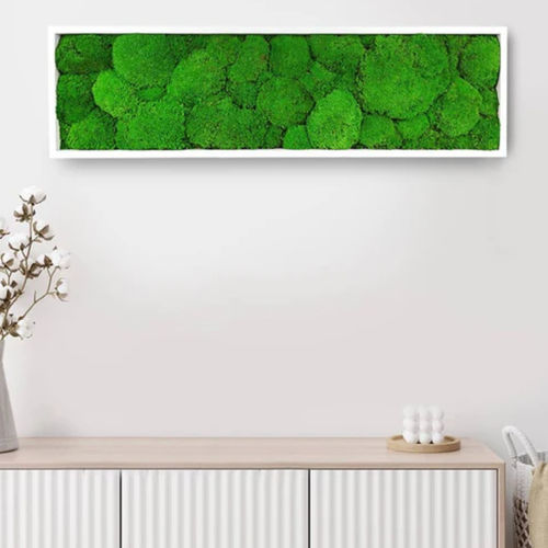 Стабилизированная живая изгородь - STABILIZED 20X70 - naturall green - натуральная / мох / для интерьера