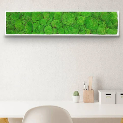 Стабилизированная живая изгородь - STABILIZED 25X115 - naturall green - натуральная / мох / для интерьера