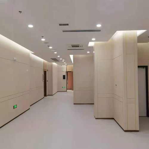 Панель из ламината для стены - Changzhou Zhongtian Fire-proof Decorative Sheets Co., Ltd. - для внутренней компоновки / для мебели / влагостойкий
