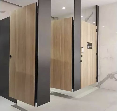 Перегородка для писсуаров компактный ламинат - Changzhou Zhongtian Fire-proof Decorative Sheets Co., Ltd. - из ламината высокого давления / для спортивных залов / для детского сада