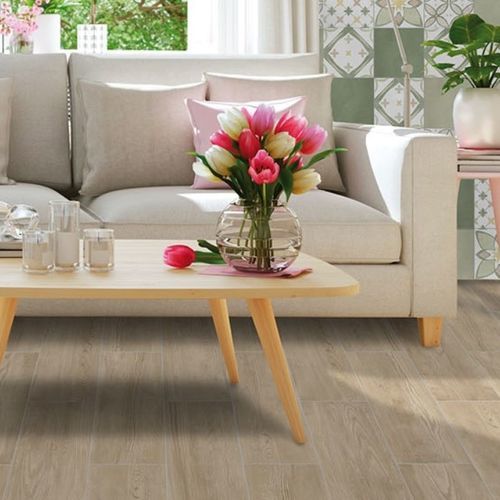 Плитка из керамогранита - COUNTRY CHARM   - Frassinoro Ceramiche - матовая / для интерьера / для ванной комнаты