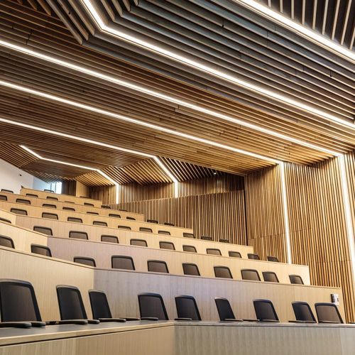 Акустическая панель для стены - Specialist Joinery Group - из дерева / прямоугольная / для аудитории