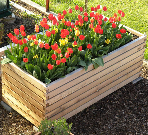 Ящик для рассады из лиственницы - Gartenfrosch GmbH - для бытового использования / для наружного применения / со встроенным поливом