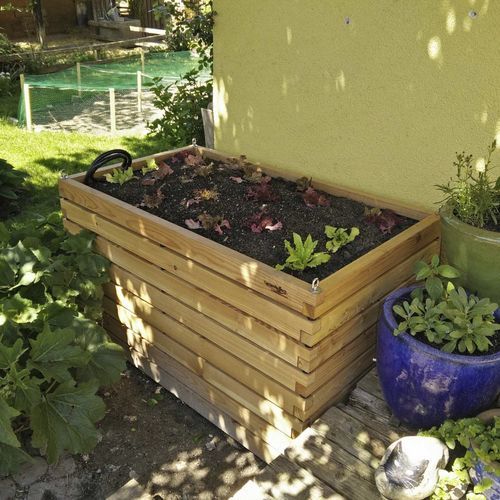 Ящик для рассады из лиственницы - Gartenfrosch GmbH - для бытового использования / для наружного применения / со встроенным поливом