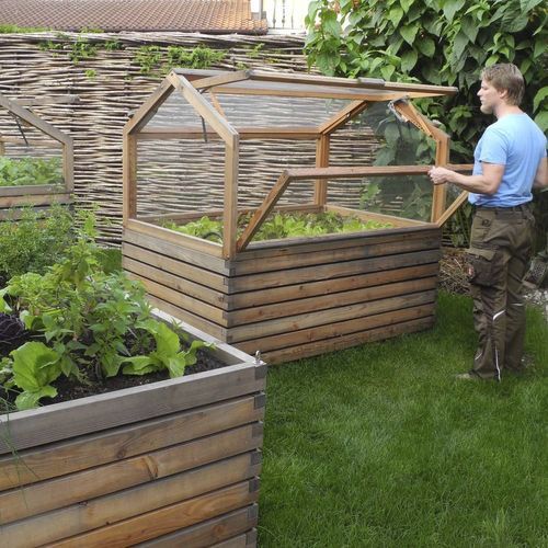 Теплица для садоводства - Gartenfrosch GmbH - с одним сводом / из лиственницы / с двойным остеклением