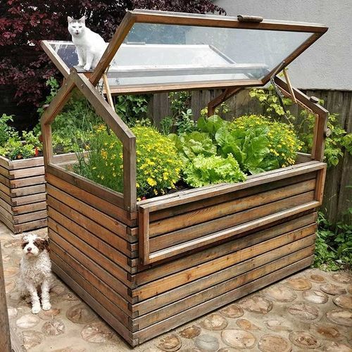 Теплица для садоводства - Gartenfrosch GmbH - с одним сводом / из лиственницы / холодный парник