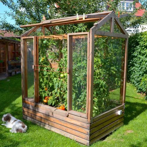 Теплица для садоводства - Gartenfrosch GmbH - с одним сводом / из лиственницы / с двойным остеклением