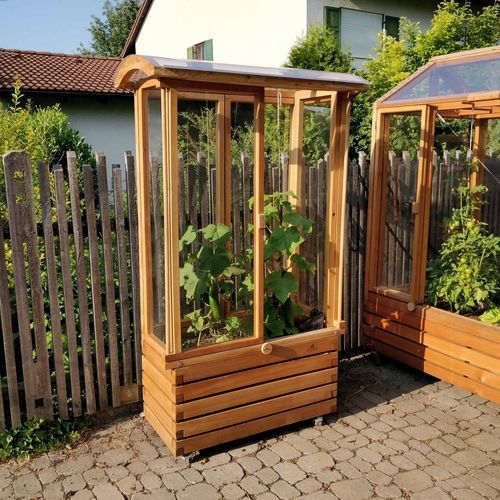 Теплица для садоводства - Gartenfrosch GmbH - с одним сводом / из лиственницы / для помидоров