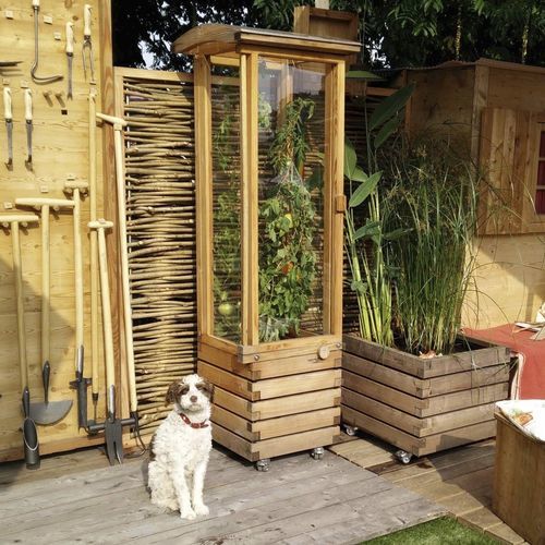 Теплица для садоводства - Gartenfrosch GmbH - с одним сводом / из лиственницы / для помидоров