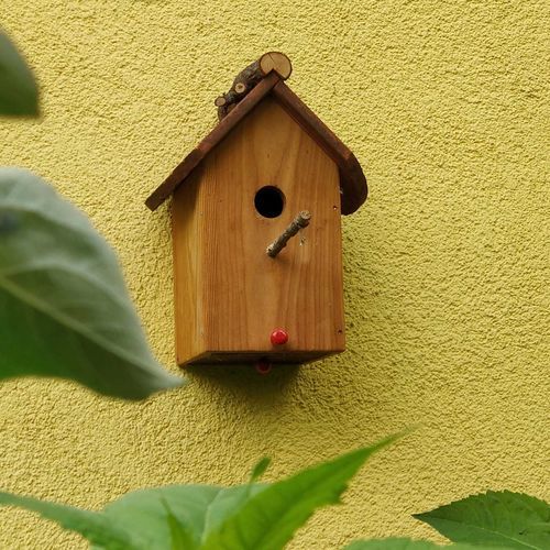 Скворечник из лиственницы - Gartenfrosch GmbH - настенный