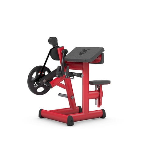 Тренажер бицепсы - 4338N - gym80 International GmbH - для интерьера / для профессионального использования