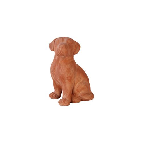 Скульптура из терракоты - Cane Labrador - cestenoli srl - для наружного применения / ручной работы / садовая