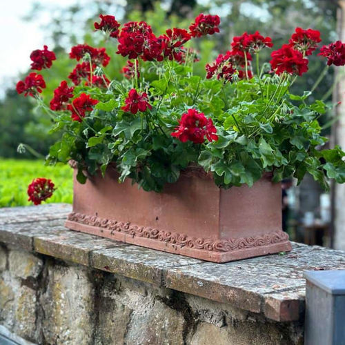 Кадка для садовых растений из терракоты - con Decorazione Greca - cestenoli srl - прямоугольная / ручной работы / классическая
