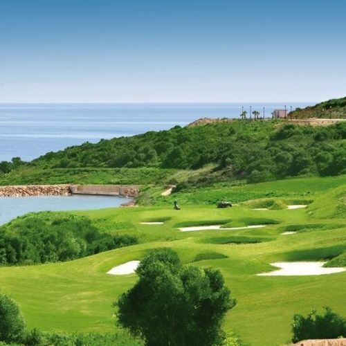 Натуральный газон - Bermuda Latitude36 - Novogreen - в рулонах / для спортивной площадки / для сада