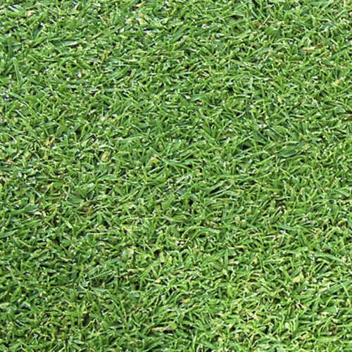 Натуральный газон - AGROSTIS L93 - Novogreen - в рулонах / для спортивной площадки / для футбольной площадки