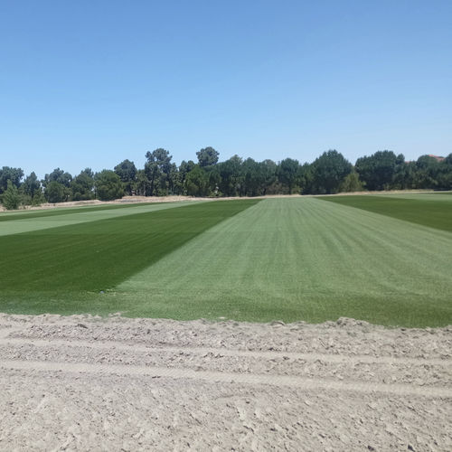 Натуральный газон - NOVOGRASS H-22 (Hybrid) - Novogreen - в рулонах / для футбольной площадки / дренажный