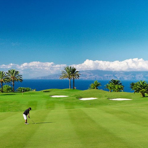 Натуральный газон - Paspalum PlatinumTE - Novogreen - в рулонах / для общественных мест / для сада
