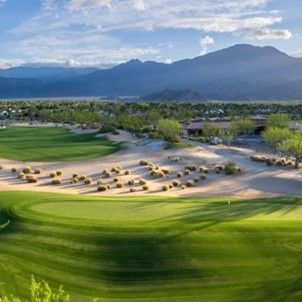 Натуральный газон - Bermuda ultradwarf TifEagle - Novogreen - в рулонах / для спортивной площадки / для занятий спортом
