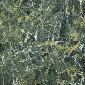 Ковровое покрытие с вытяжным ворсом - BIOPHILIC A - Casino Carpets S.L. - нейлоновое / для профессионального использования / с рисунком