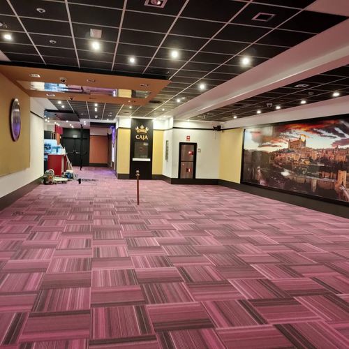 Ковровое покрытие с вытяжным ворсом - LINEAR  - Casino Carpets S.L. - нейлоновое / для профессионального использования / в полоску