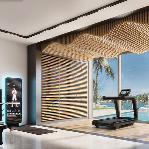 Декоративная панель из дерева - Gymnasium - Santo Passaia Furniture - для внутренней компоновки / для бытового использования