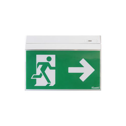 Потолочное аварийное освещение - MOTUS PICTOGRAM - iGuzzini - настенное / встраиваемое / прямоугольное