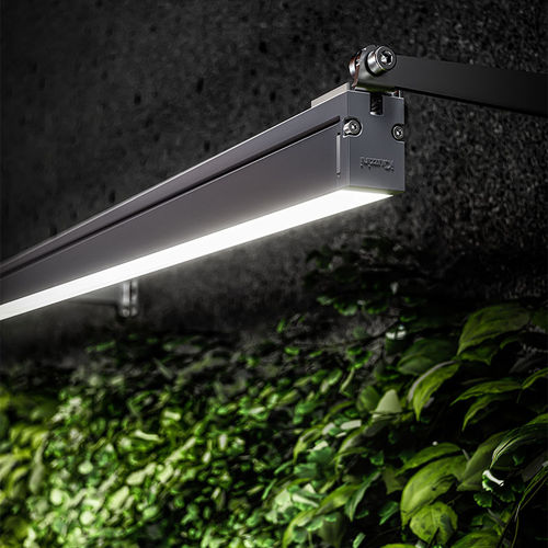 Прожектор IP66 - LINEALUCE - iGuzzini - светодиоды RGB / светодиод RGBW / для профессионального использования