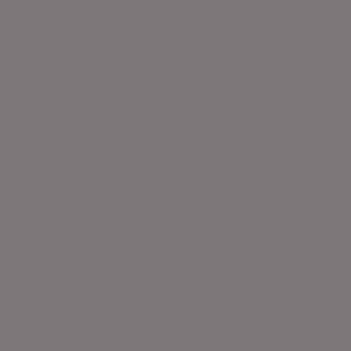 Однотонный декоративный ламинат - GRIS TAUPE - Polyrey - гладкий / огнестойкий / HPL