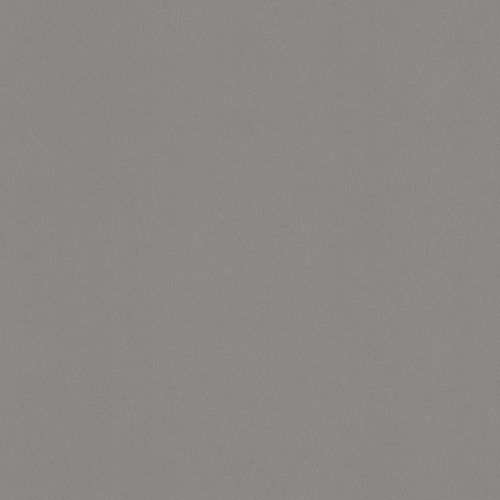 Однотонный декоративный ламинат - BROSSÉ GRIS - Polyrey - сатинированный / очищенный / HPL