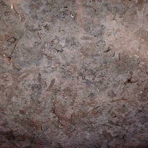 Плита из камня из мрамора - BLEU DE SAVOIE - FURRER - для внутренней компоновки / полированная / коричневая