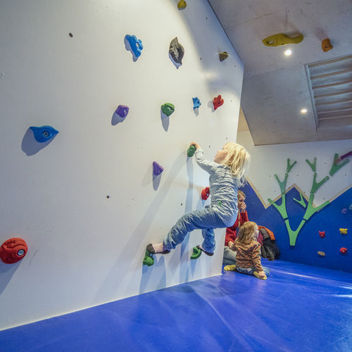 Фиксированная стенка для лазанья - KIDS   - Walltopia - для общественных учреждений