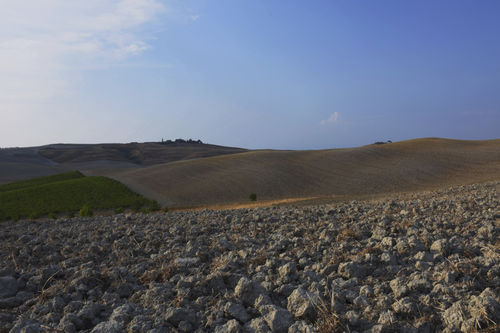 Постер - TOSCANA - INSILVIS