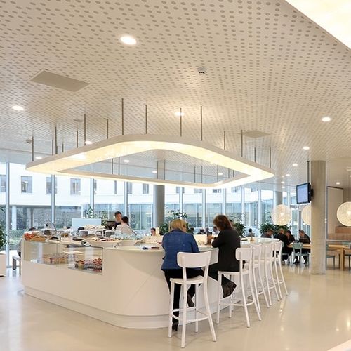 Подвесной потолок из металла - Luxalon® Planks - Hunter Douglas Architectural - из плит / из панелей / для офиса