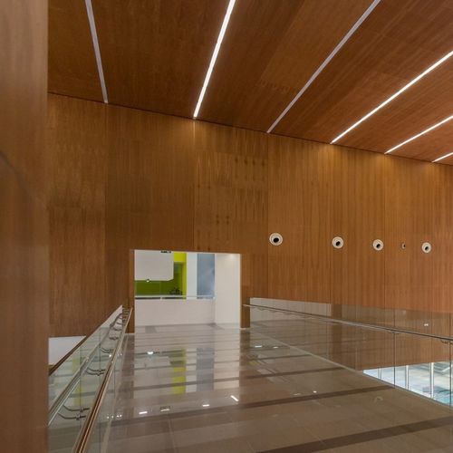 Акустическое покрытие для стен - Derako® Veneered Panels Wall - Hunter Douglas Architectural - для внутреннего пространства / из фанерованной древесины / гладкое
