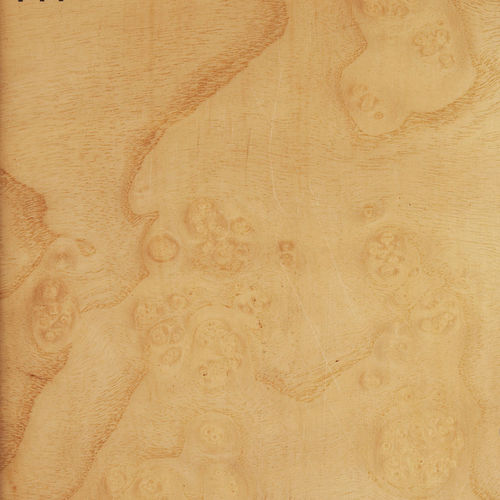 Обшивка из дерева - ASH BURL - Decospan - для мебели / панельная / для внутренней компоновки