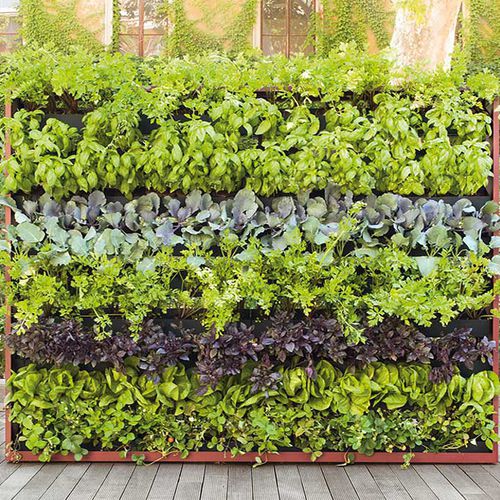 Трельяж из окрашенного металла - GREENERY - PAOLA LENTI