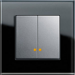 Переключатель с нажимной кнопкой - CONTROL SWITCH  - Gira - встраиваемый / двойной / современный