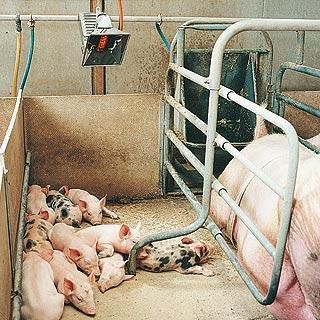Настенный инфракрасный обогреватель для террасы - PIGS - SBM - газовый / промышленный / керамический