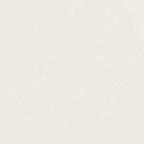 Плитка из керамогранита - Absolute White - LUSOROCHAS NATURAL STONE - для интерьера / настенная / напольная