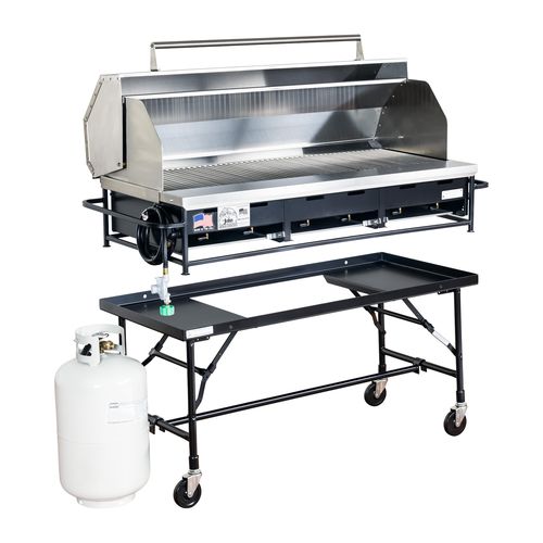 Газовый гриль - A3P-LPSS - Big John Grills & Rotisseries - на столешнице / напольный / для установки на мебели