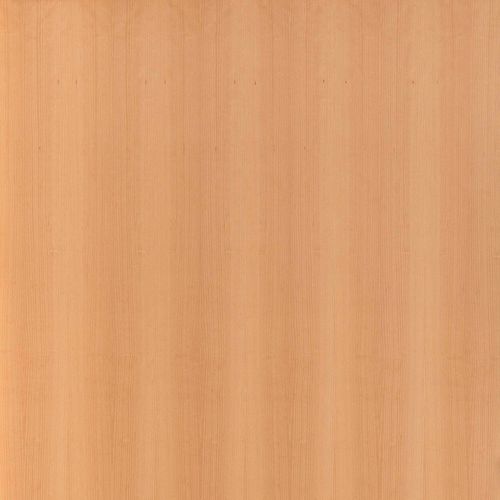 Настенная обшивка для стены - BEECH - PARKLEX International - дерево / из ламината / текстурированная