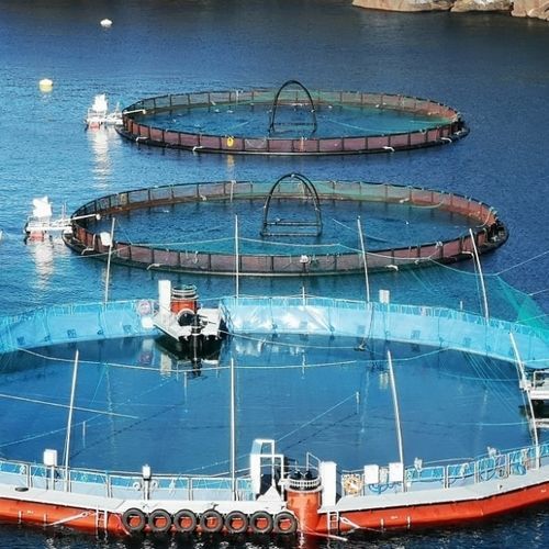 Геомембрана из композита - BIOBRANE AQUA 2050 - Serge Ferrari ARCHITECTURE - для водоема / герметизирующая / устойчивая к разрыву
