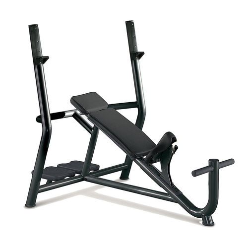 Регулируемый силовой тренажер - INCLINED - TECHNOGYM - для интерьера / для профессионального использования / для оздоровительной пробежки